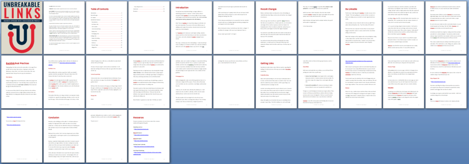 Unbreakable SEO Links PLR Report Sneak Preview Unbreakable SEO Links PLR Report Sneak Preview