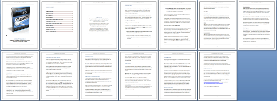 Unslappable SEO PLR Report Sneak Preview Unslappable SEO PLR Report Sneak Preview