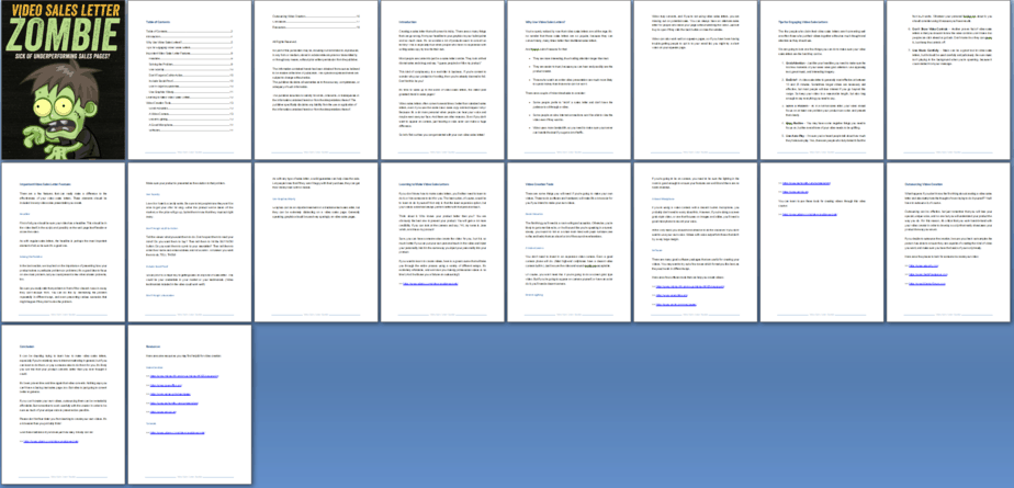 Video Salesletters PLR Report Sneak Preview