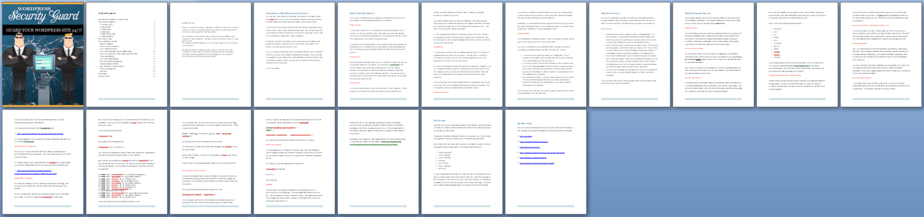 WP Security Guard PLR Report Sneak Preview WP Security Guard PLR Report Sneak Preview