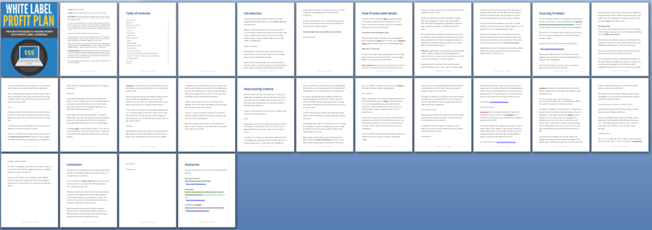 White Label Profit Plan PLR Report Sneak Preview