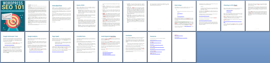 Wordpress SEO 101 PLR Report Sneak Preview