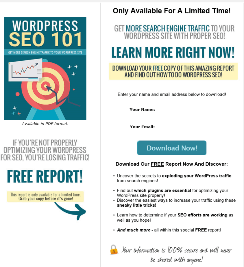 Wordpress SEO 101 PLR Squeeze Page
