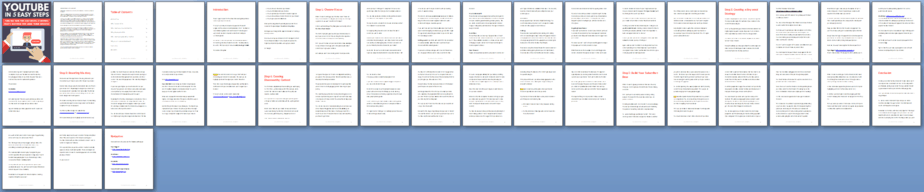 YouTube in 5 Steps PLR Report Sneak Preview YouTube in 5 Steps PLR Report Sneak Preview