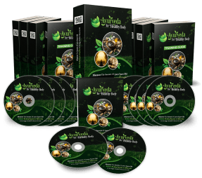 Ayurveda For Healthy Body PLR Complete Sales Funnel