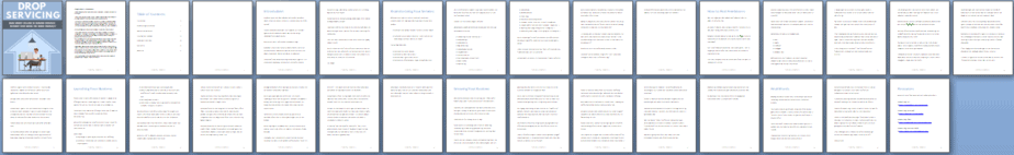 Drop Servicing PLR Report Sneak Preview Drop Servicing PLR Report Sneak Preview