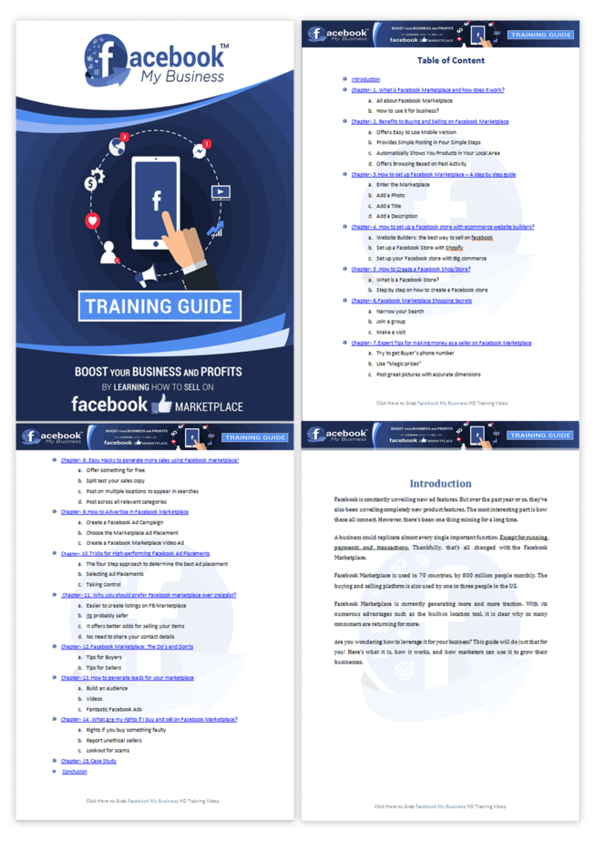 Facebook My Business PLR Sales Funnel Training Guide Screenshot