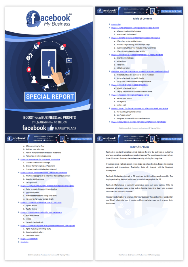 Facebook My Business PLR Sales Funnel Upsell Report Screenshot
