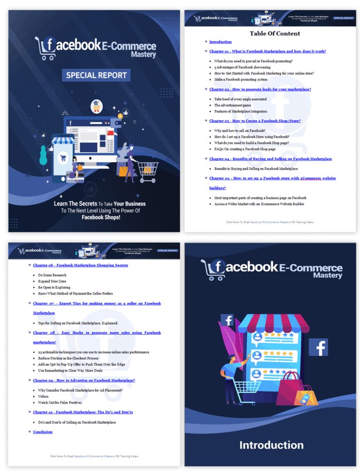 Facebook eCommerce Mastery PLR Sales Funnel Upsell Report Screenshot