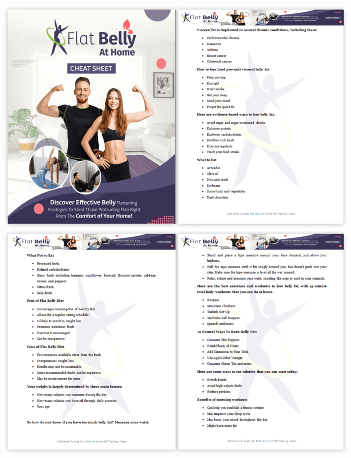 Flat Belly At Home PLR Sales Funnel Cheatsheet Screenshot