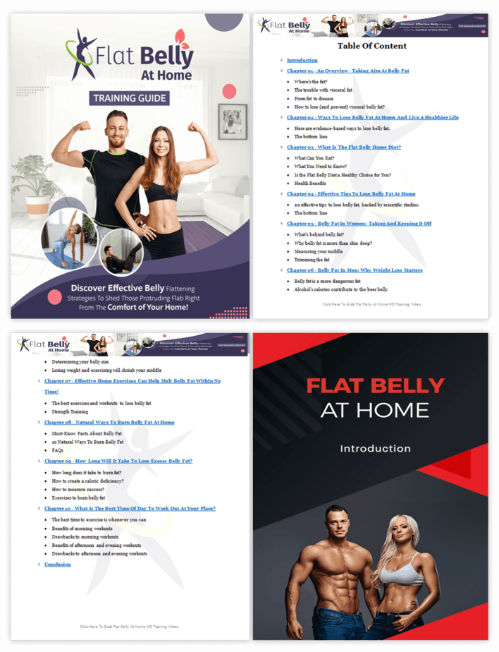 Flat Belly At Home PLR Sales Funnel Training Guide Screenshot