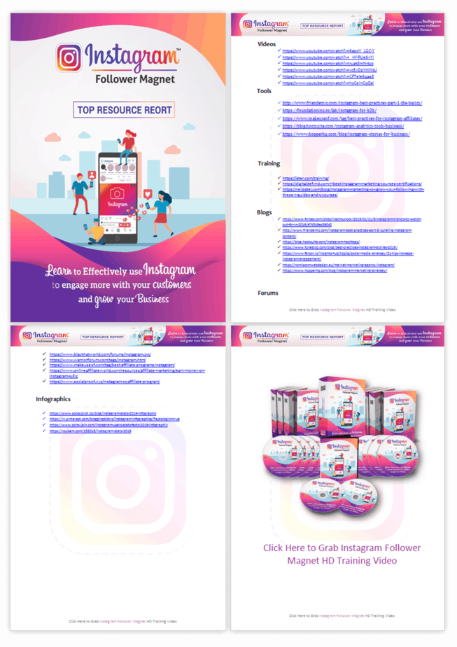 Instagram Reels Marketing PLR Sales Funnel Top Resource Report Screenshot