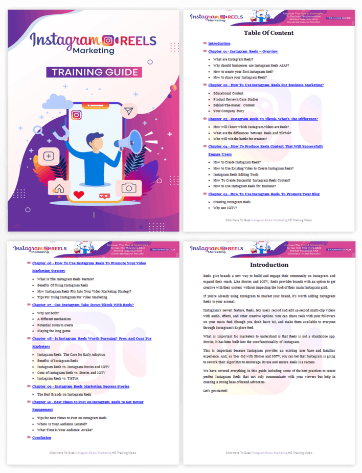 Instagram Reels Marketing PLR Sales Funnel Training Guide Screenshot
