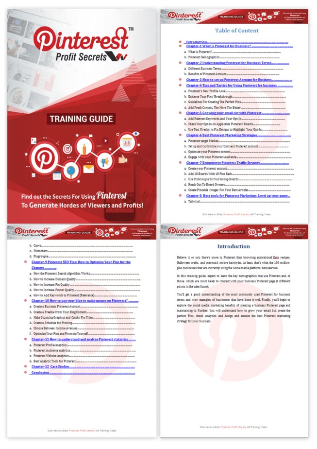 Pinterest Profit Secrets PLR Training Guide Screenshot Pinterest Profit Secrets PLR Training Guide Screenshot