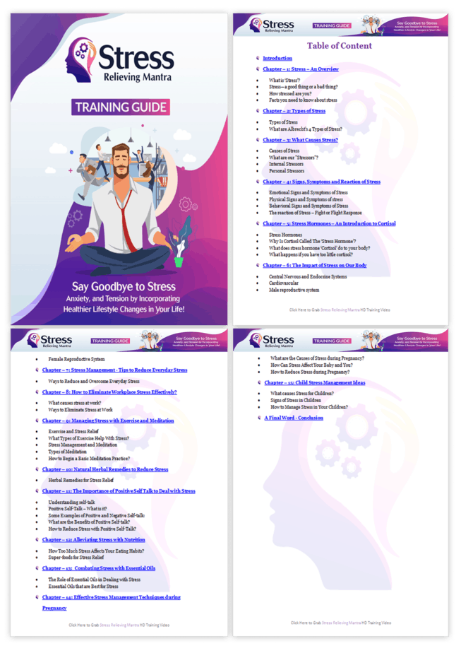 Stress Relieving Mantra PLR Sales Funnel Training Guide Screenshot