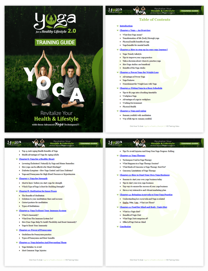 Yoga for a Healthy Lifestyle 2.0 PLR Sales Funnel Training Guide