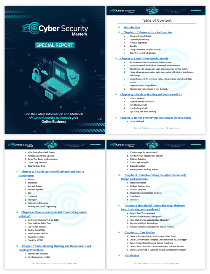 Cyber Security Mastery PLR Sales Funnel Upsell Report Screenshot