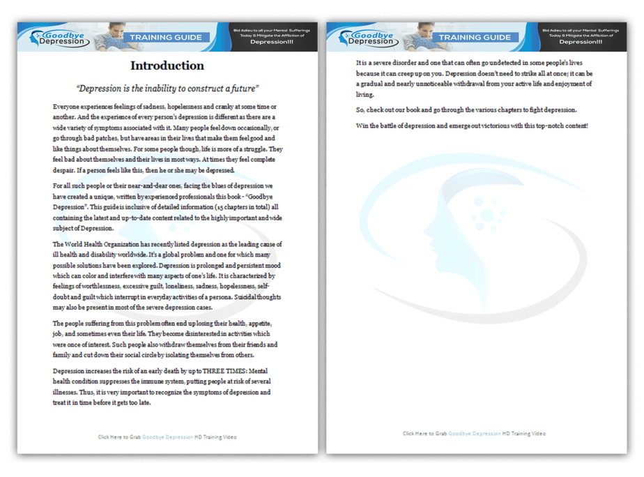 Goodbye Depression PLR Sales Funnel Training Guide Goodbye Depression PLR Sales Funnel Training Guide