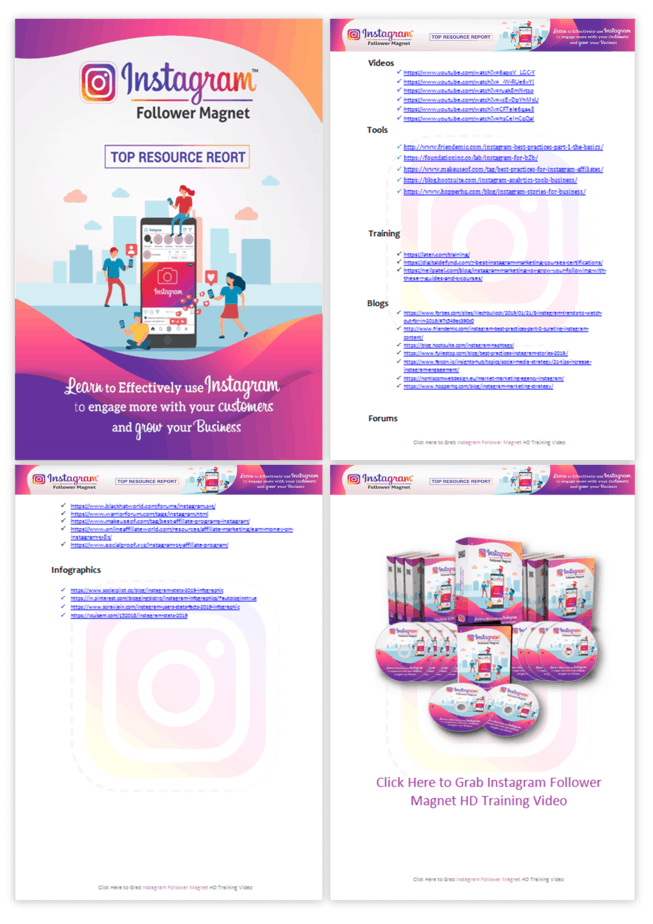Instagram Follower Magnet PLR Sales Funnel Top Resource Report Screenshot