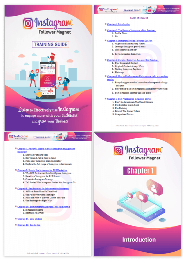 Instagram Follower Magnet PLR Sales Funnel | PLR Instagram