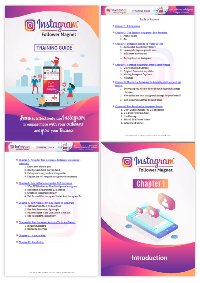 Instagram Follower Magnet PLR Sales Funnel Training Guide Screenshot