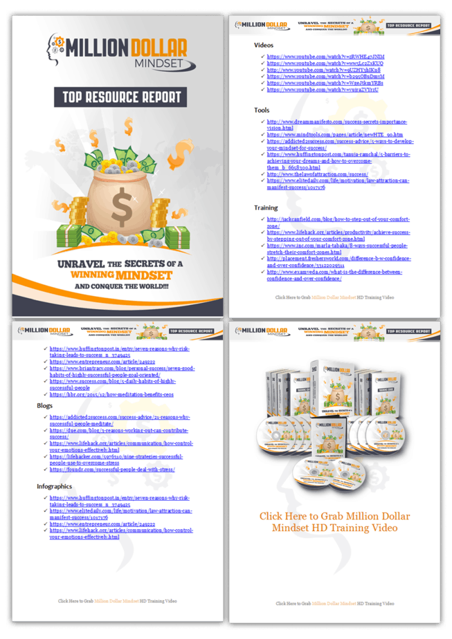Millionaire Success Mindset PLR Sales Funnel Top Resource Report Screenshot