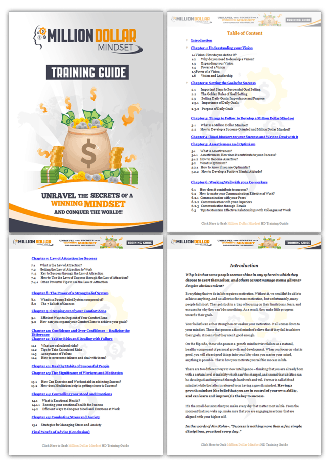 Millionaire Success Mindset PLR Sales Funnel Training Guide Screenshot