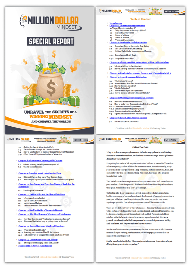 Millionaire Success Mindset PLR Sales Funnel Upsell Report Screenshot