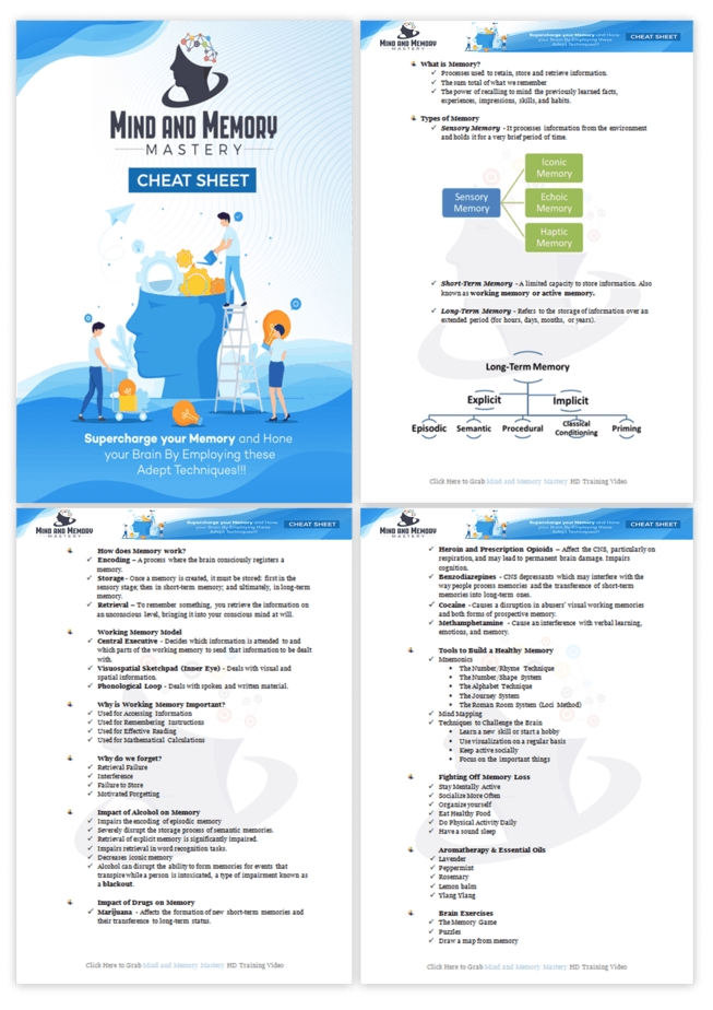 Mind And Memory Mastery PLR Sales Funnel Cheatsheet Screenshot