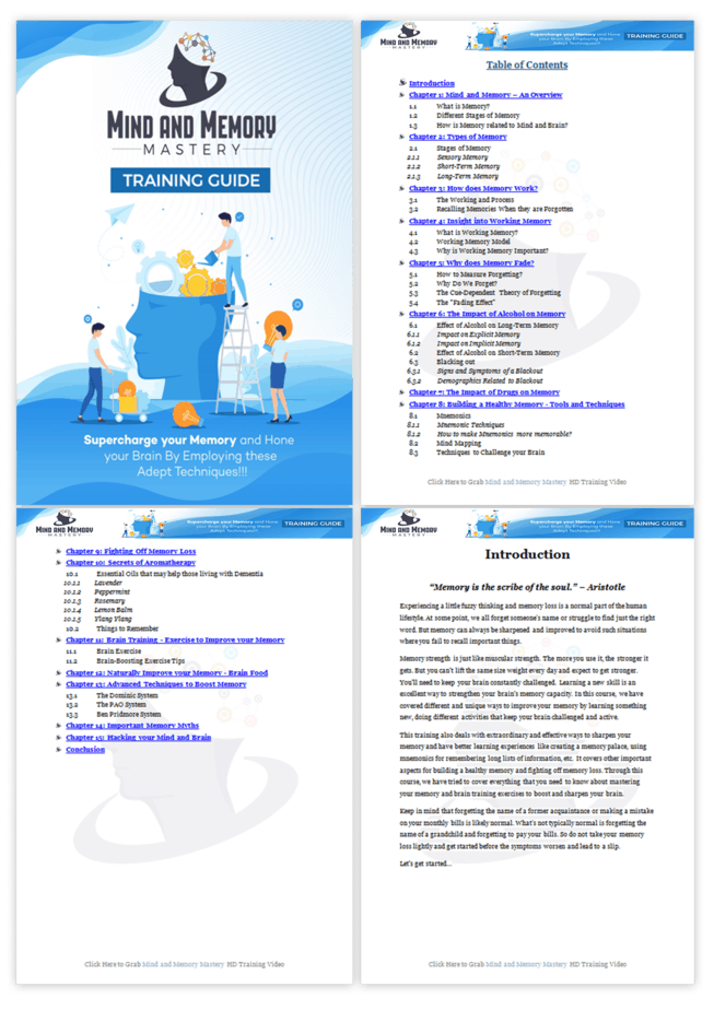 Mind And Memory Mastery PLR Sales Funnel Training Guide Screenshot