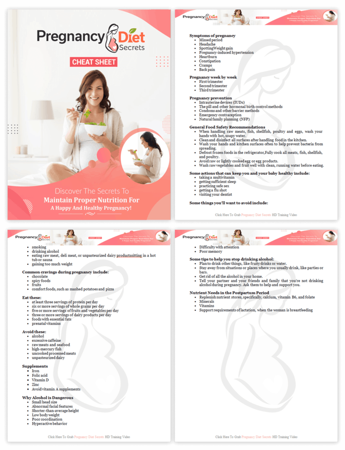 Pregnancy Diet Secrets PLR Sales Funnel Cheatsheet Screenshot Pregnancy Diet Secrets PLR Sales Funnel Cheatsheet Screenshot