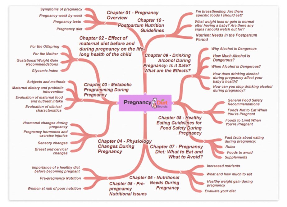 Pregnancy Diet Secrets PLR Sales Funnel Mind Map Screenshot Pregnancy Diet Secrets PLR Sales Funnel Mind Map Screenshot