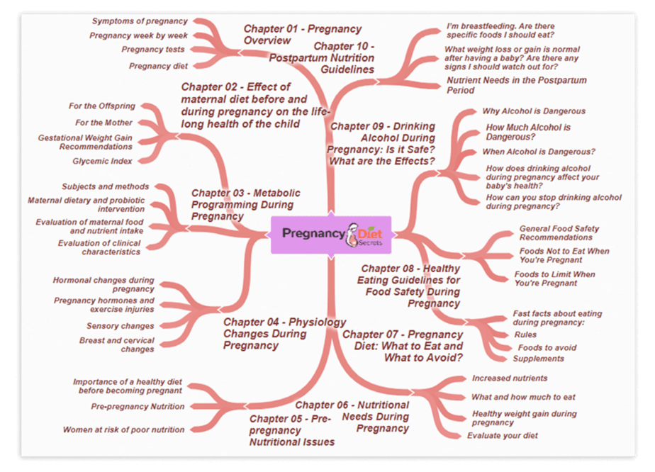 Pregnancy Diet Secrets PLR Sales Funnel Mind Map Screenshot