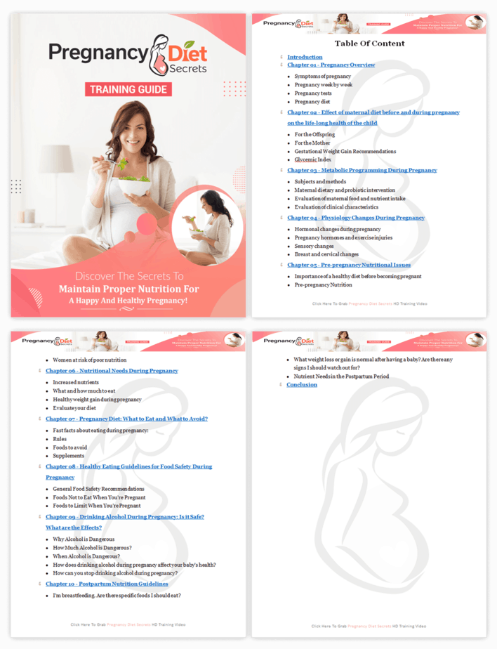 Pregnancy Diet Secrets PLR Sales Funnel Training Guide Screenshot