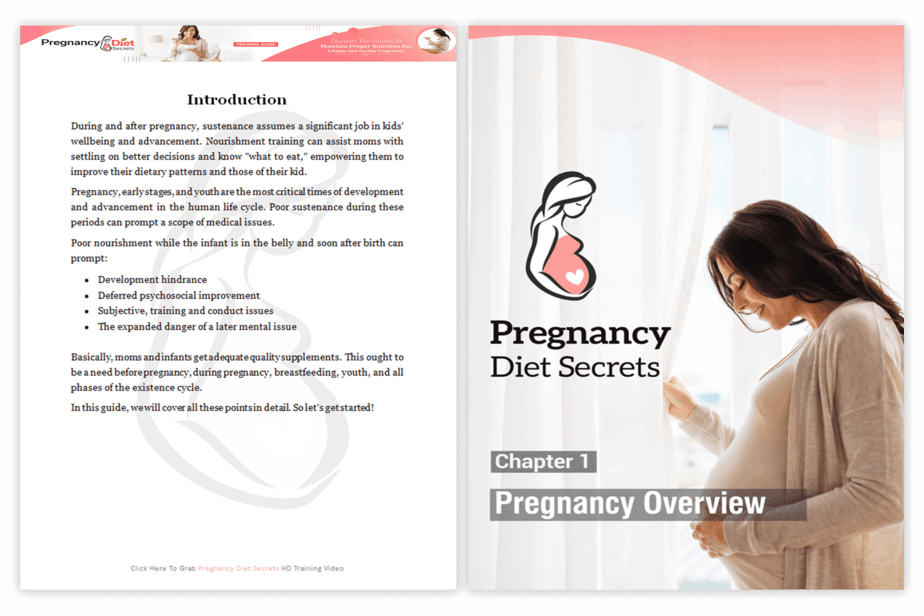 Pregnancy Diet Secrets PLR Sales Funnel Training Guide