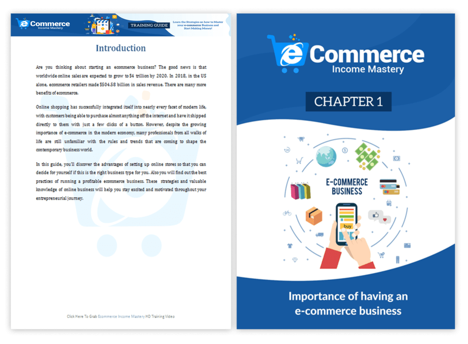Ecommerce Income Mastery PLR Sales Funnel Training Guide