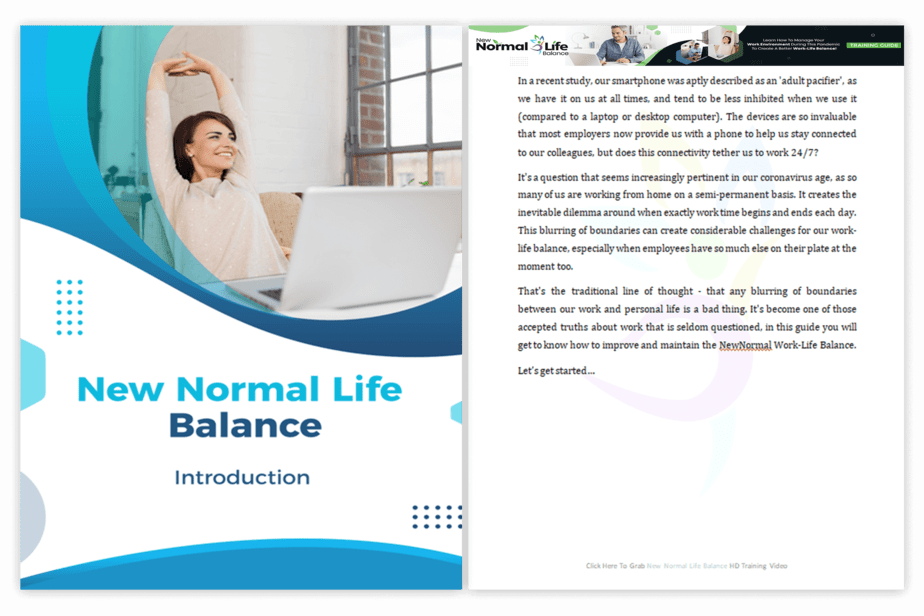 New Normal Life Balance PLR Sales Funnel Training Guide