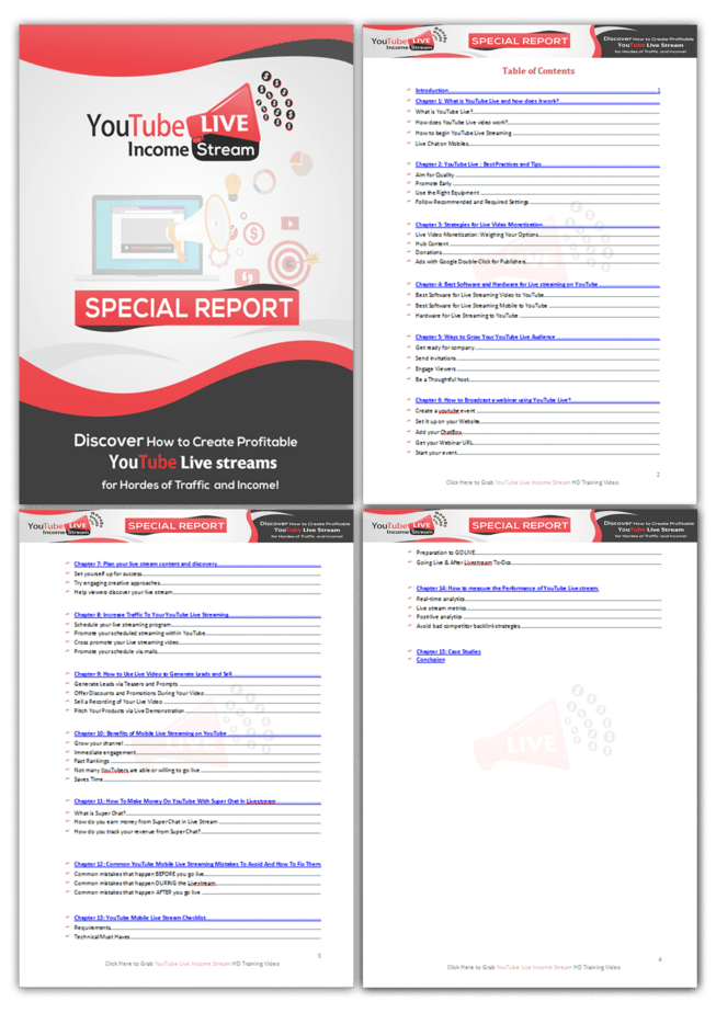 YouTube Live Income Stream PLR Sales Funnel Upsell Report Screenshot