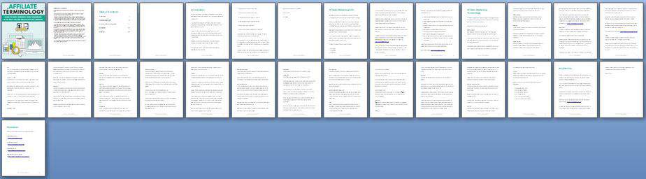 Affiliate Terminology PLR Report Sneak Preview Affiliate Terminology PLR Report Sneak Preview