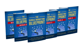 Bundle Marketing Blueprint Premium PLR Course