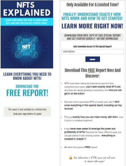 NFTs Explained PLR Squeeze Page