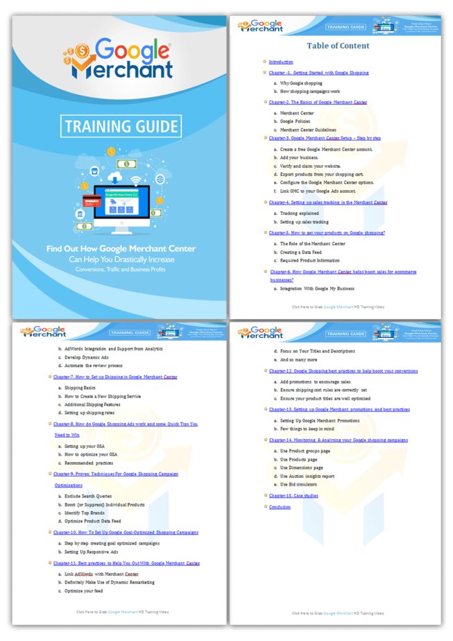 Google Merchant PLR Sales Funnel Training Guide Screenshot