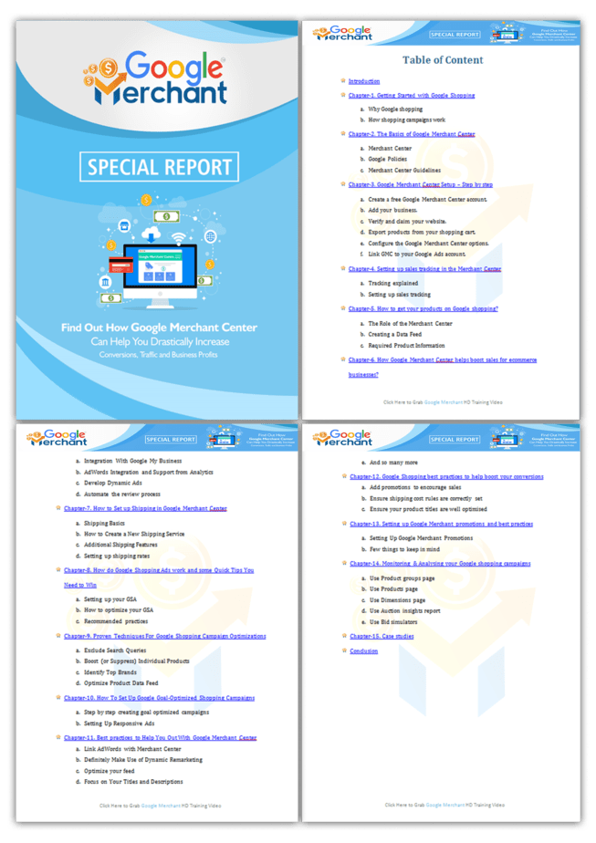 Google Merchant PLR Sales Funnel Upsell Squeeze Page Report Screenshot