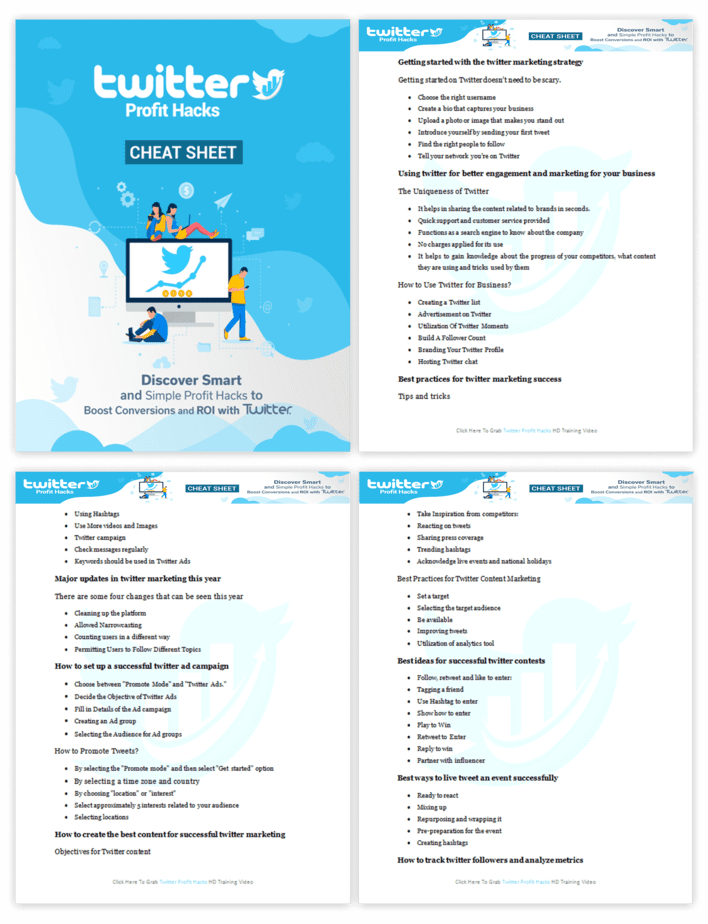 Twitter Profit Hacks PLR Sales Funnel Cheatsheet Screenshot