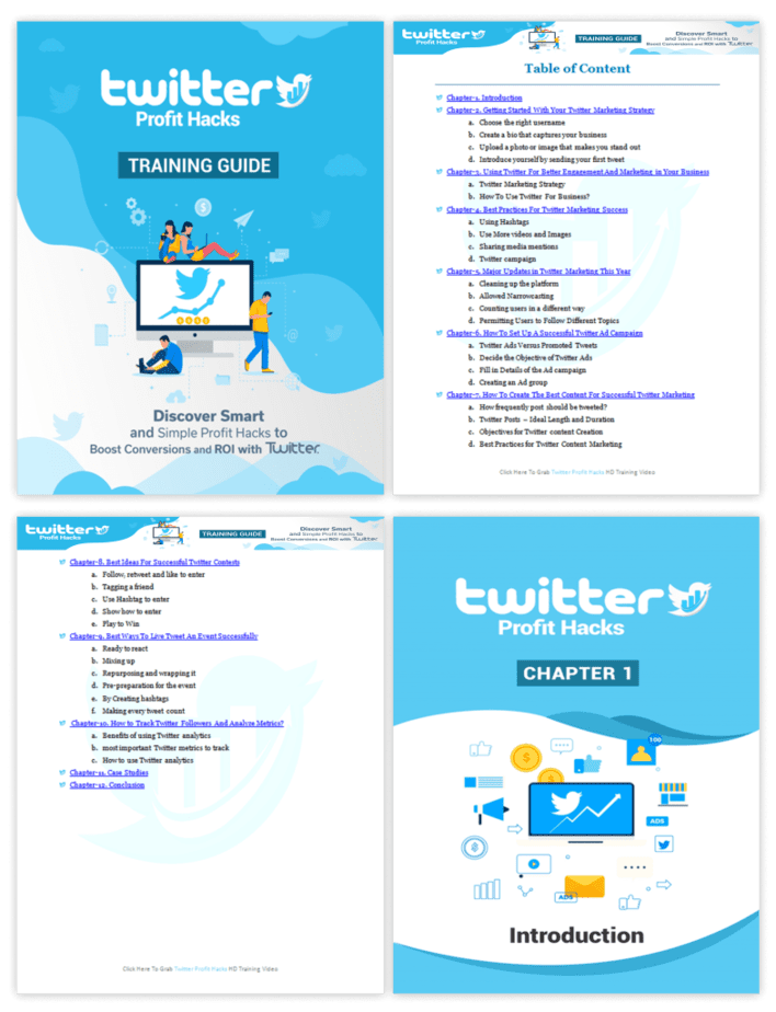 Twitter Profit Hacks PLR Sales Funnel | High Quality Twitter PLR Package