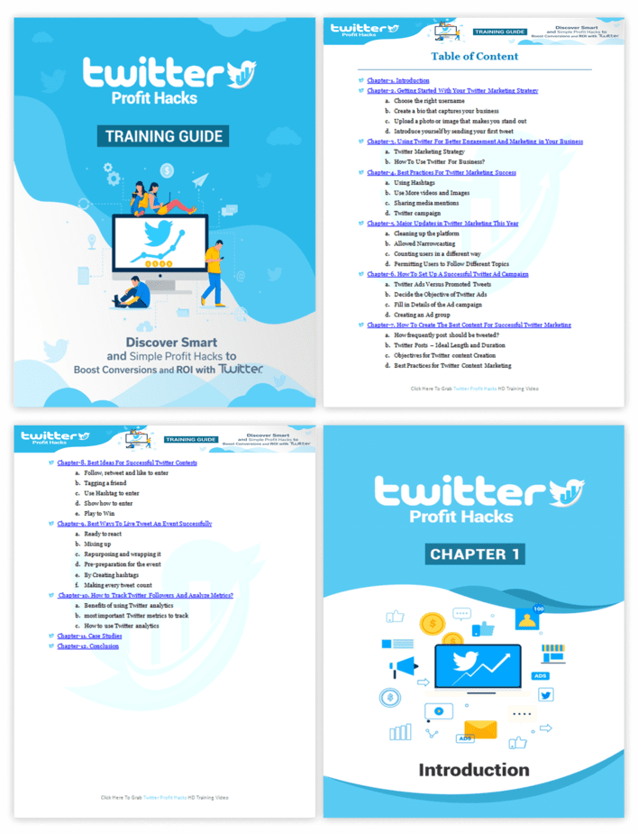 Twitter Profit Hacks PLR Sales Funnel Training Guide Screenshot Twitter Profit Hacks PLR Sales Funnel Training Guide Screenshot