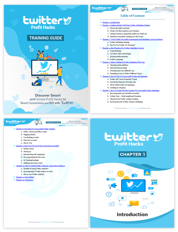 Twitter Profit Hacks PLR Sales Funnel Training Guide Screenshot