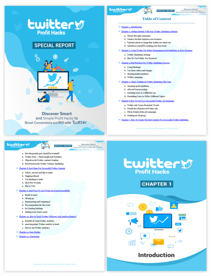 Twitter Profit Hacks PLR Sales Funnel Upsell Report Screenshot