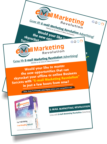 Email Marketing Revolution PLR Sales Funnel Professional Minisites 1