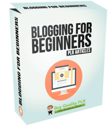 Blogging for Beginners PLR Articles